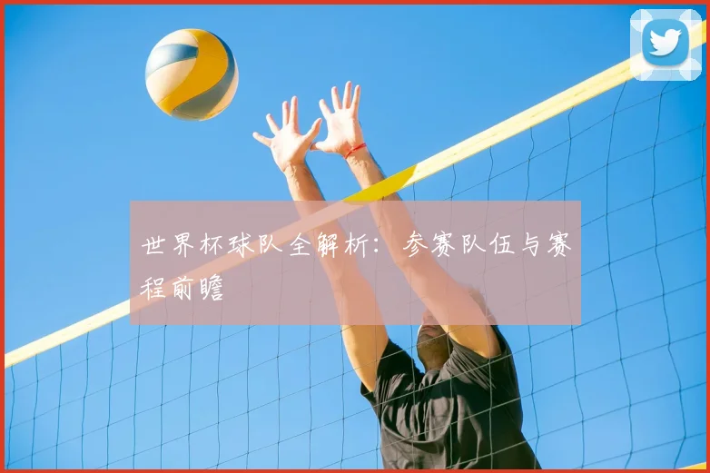 世界杯球队全解析:参赛队伍与赛程前瞻