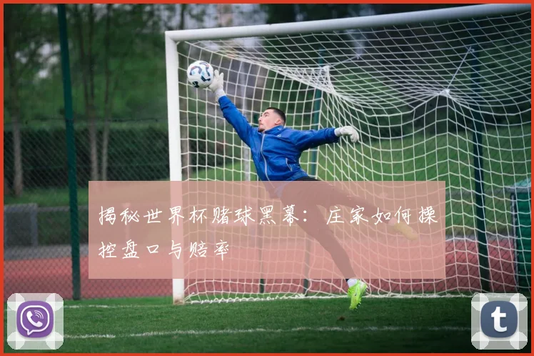 揭秘世界杯赌球黑幕：庄家如何操控盘口与赔率