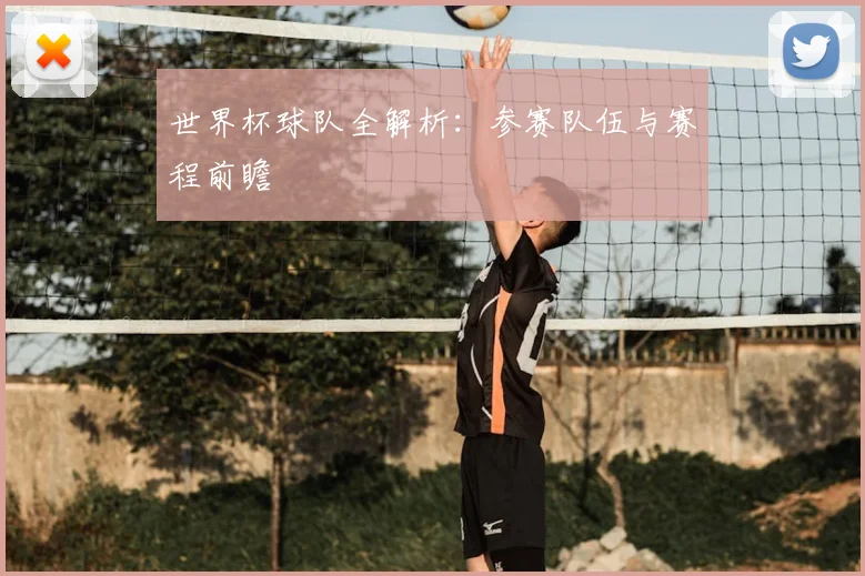 世界杯球队全解析：参赛队伍与赛程前瞻